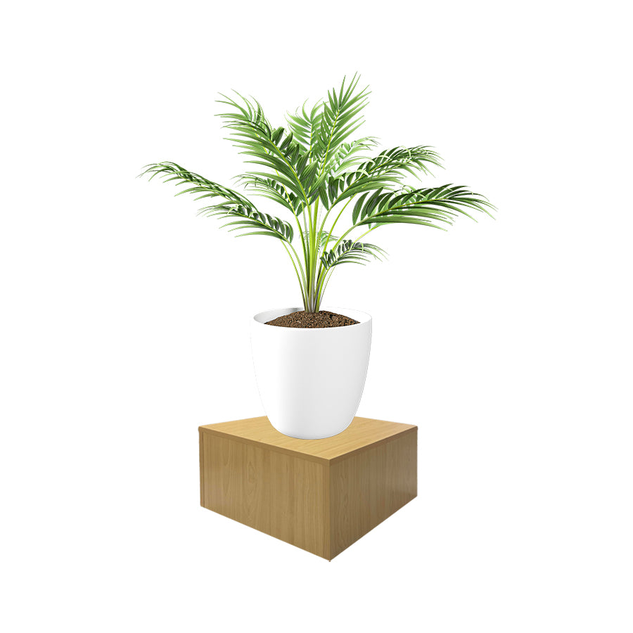 Maple 18'' x 18'' x 12'' Cube Pedestal Display Knockdown Base Retail Fixture