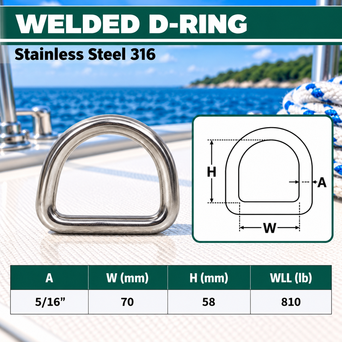 5 Pc Set 5/16" Marine Boat Stainless Steel D Ring, Welded Formed D-Ring for Rigging, Lifting, Tie Down, and Outdoor Use