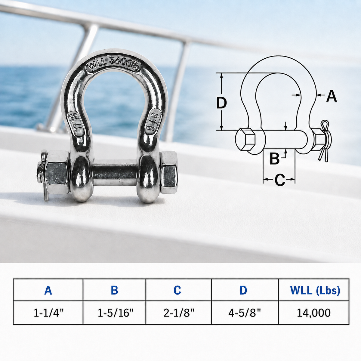 Mil Spec T316 Stainless Steel Forged Screw Pin Anchor Shackle, Marine Grade Load Rated Shackle for Boat, Chain, and Rigging