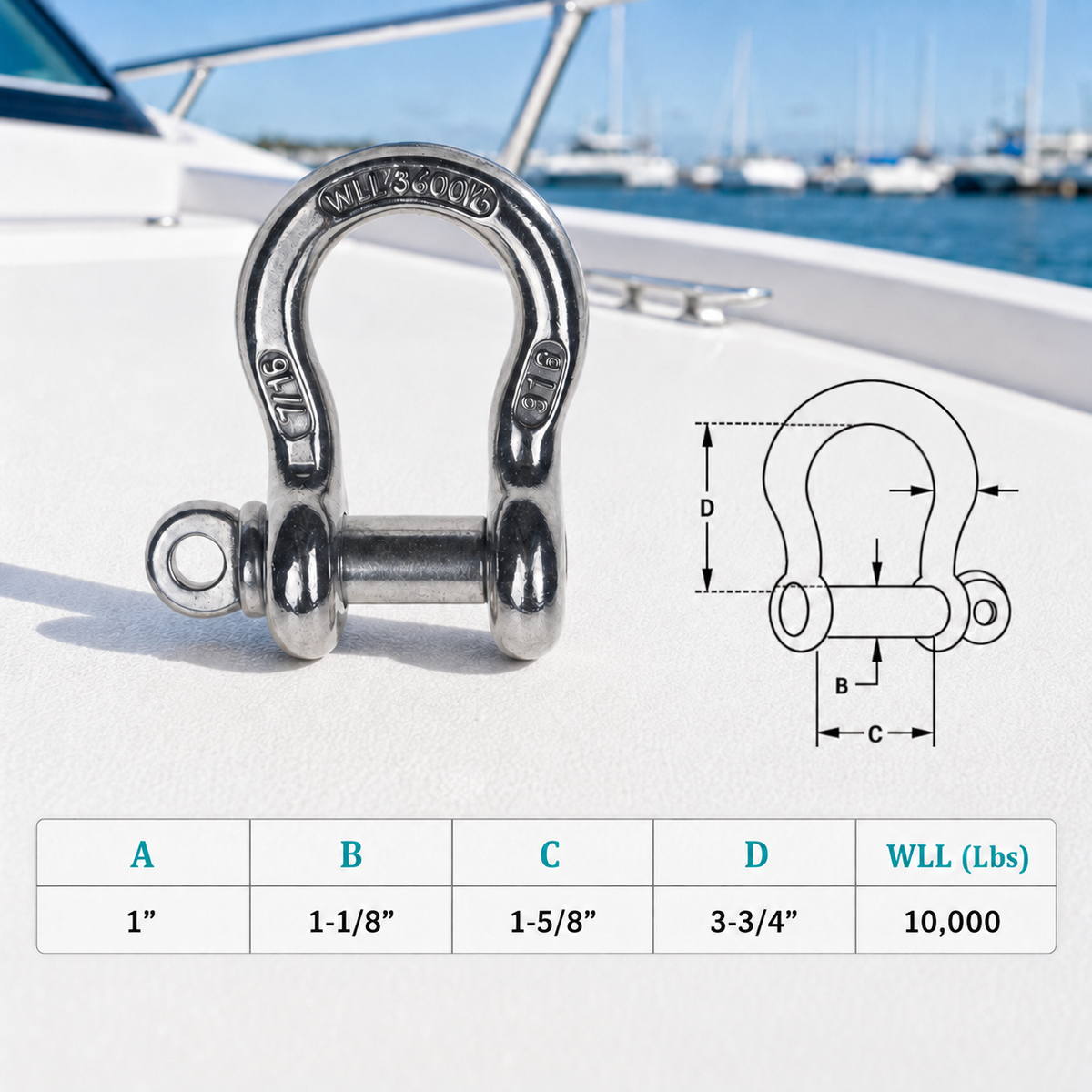 Mil-Spec Stainless Steel T316 Forged Load Rated Screw Pin Anchor Shackle
