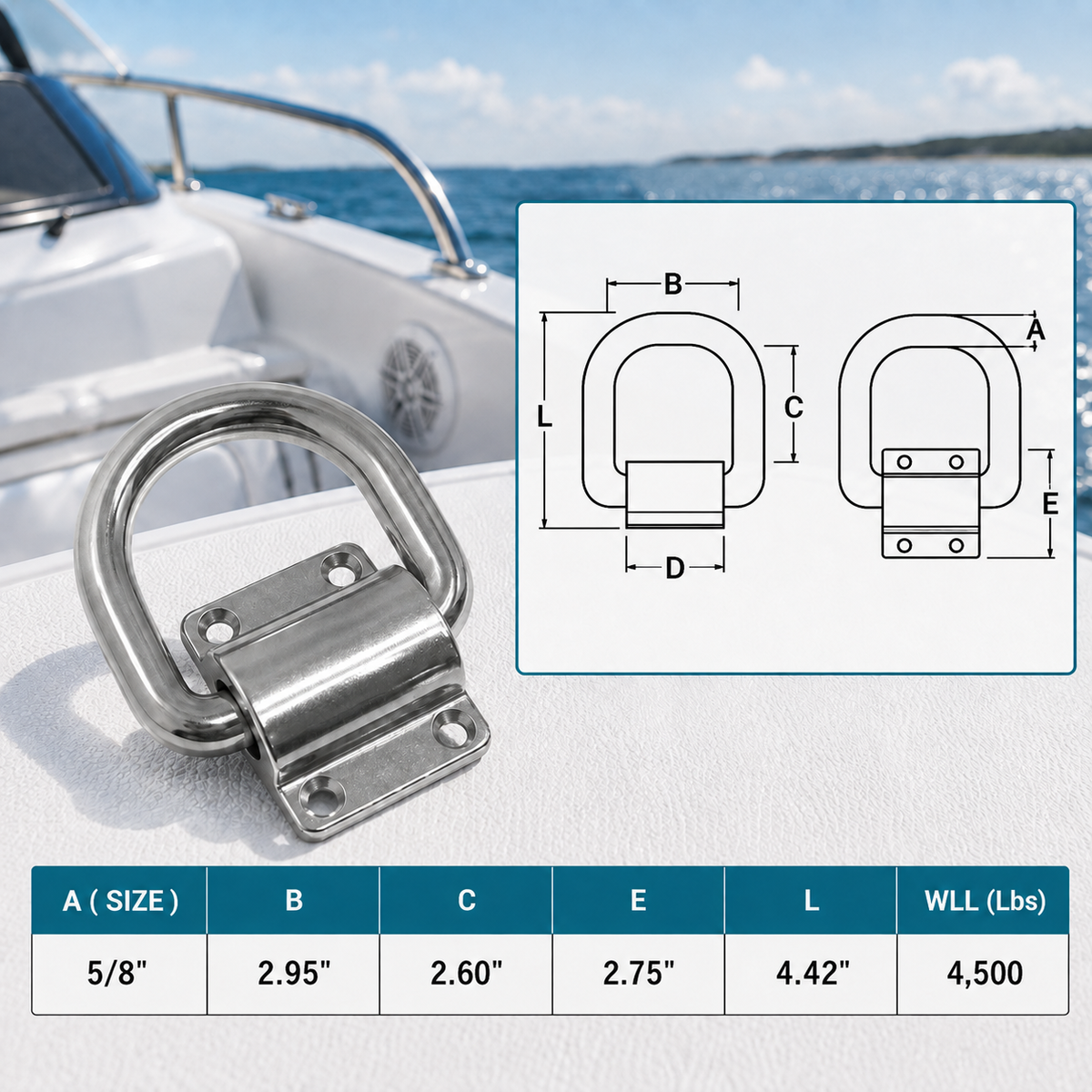 4 Pc Set T316 Stainless Steel Bolt-On D-Ring Lashing Ring Anchor Tie Down, Marine Boat Deck Hardware for Cargo, Dock, Trailer, and Rigging Use