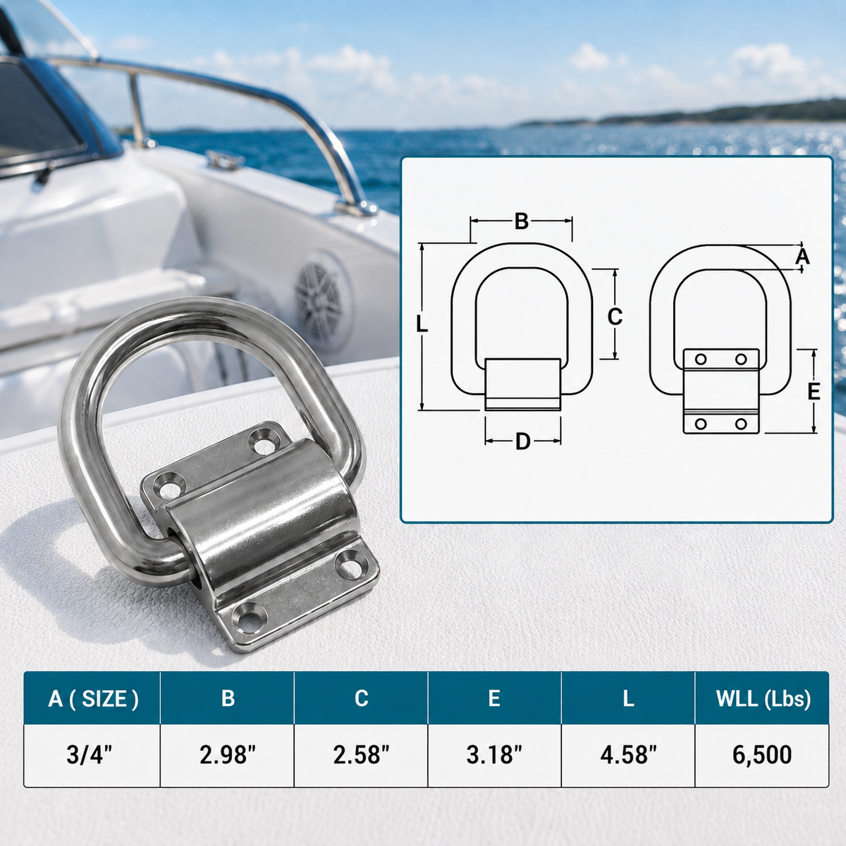 4 Pc Set T316 Stainless Steel Bolt-On D-Ring Lashing Ring Anchor Tie Down, Marine Boat Deck Hardware for Cargo, Dock, Trailer, and Rigging Use