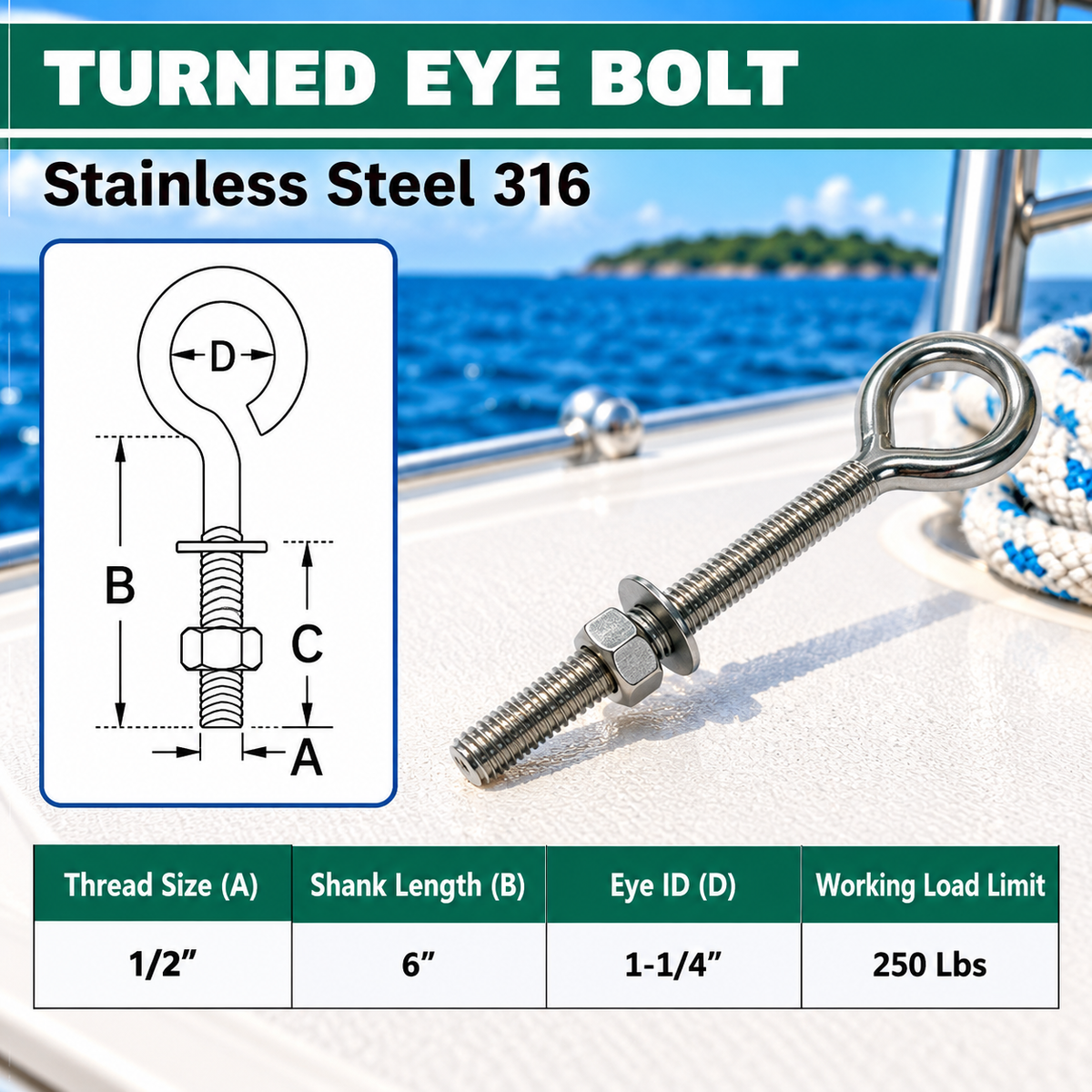Marine Boat T316 Stainless Steel Turned Eye Bolt with Nut and Washer, Eye Bolt Hardware for Deck, Dock, and Rigging