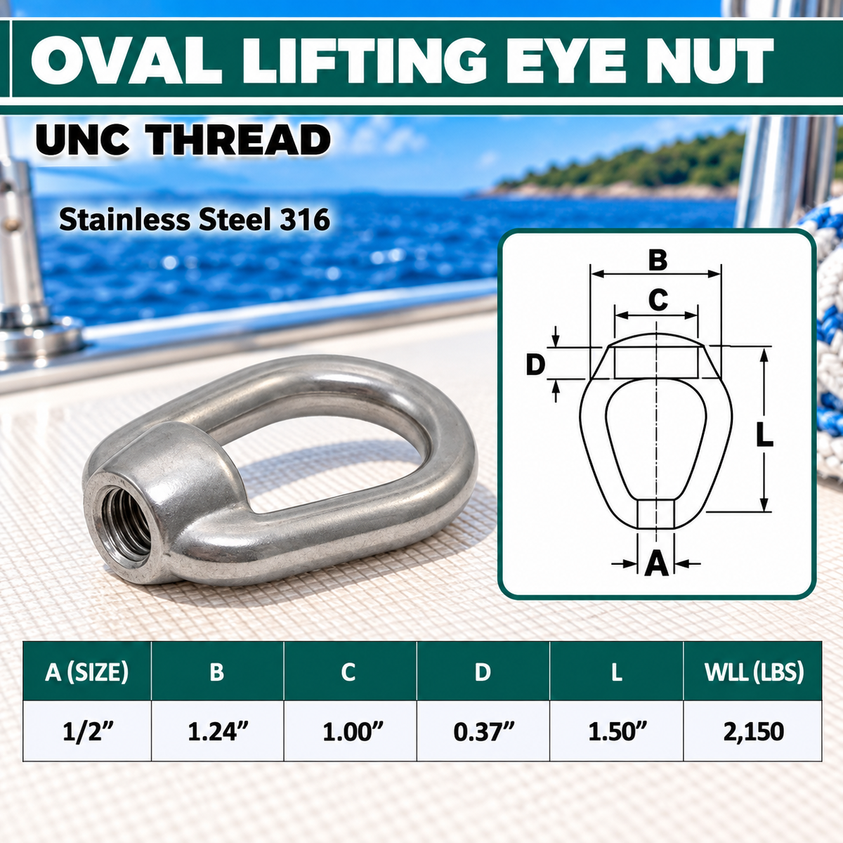 2 Pc Set Marine Stainless Steel 316 Eye Nut, UNC Tap Thread Lifting and Rigging Hardware for Boat, Dock, and Outdoor Use