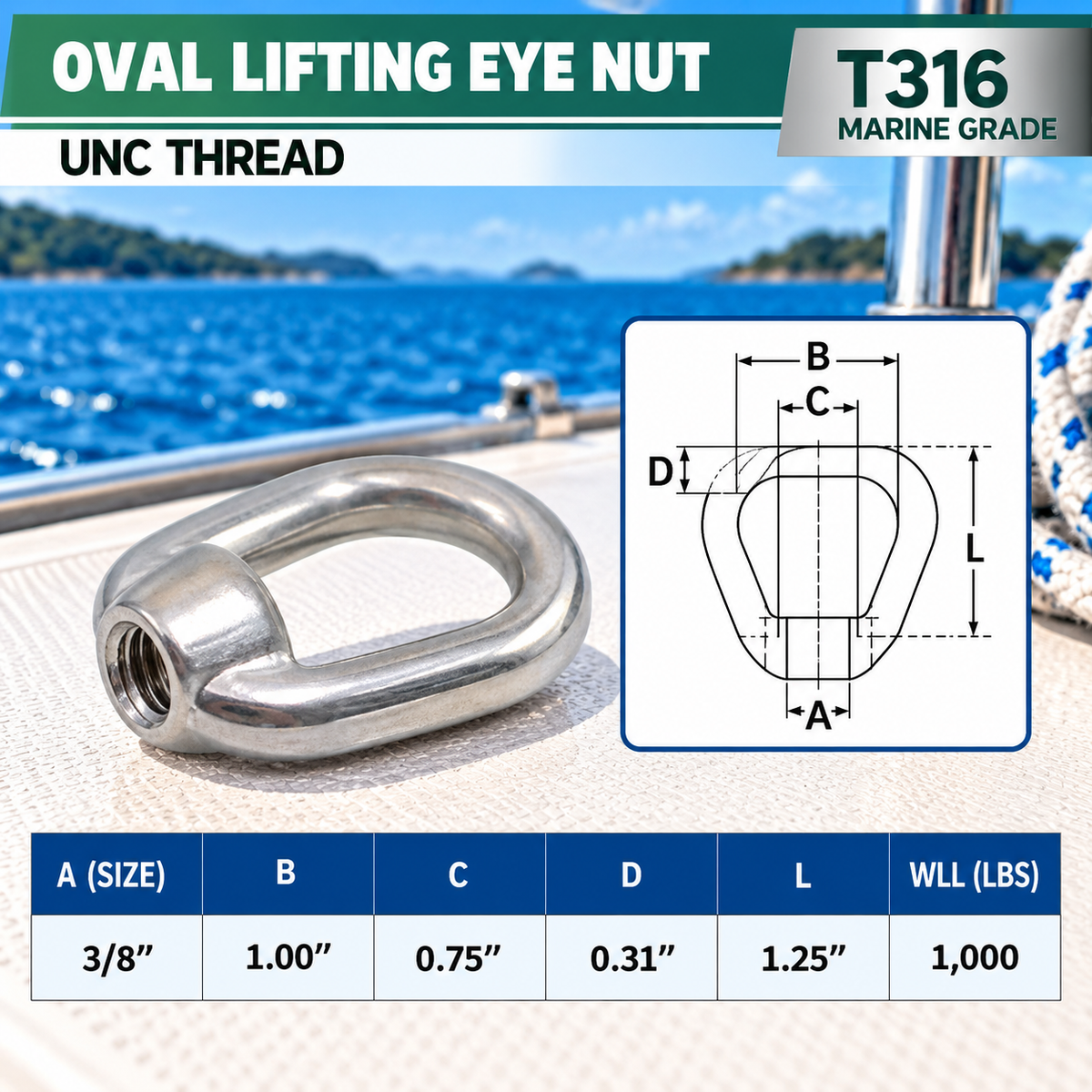 2 Pc Set Marine Stainless Steel 316 Eye Nut, UNC Tap Thread Lifting and Rigging Hardware for Boat, Dock, and Outdoor Use