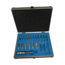 21 Pc HSS Interchangeable Pilot Counterbore Set Straight Shank