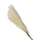 33'' Single Pampas Grass Plume Stem Faux Artificial Pampas Grass Home Decor