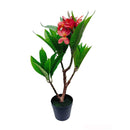 2.25 Ft Fuchsia Artificial Plumeria Flower Tree Tropical Plant in Black Pot