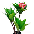 2.25 Ft Fuchsia Artificial Plumeria Flower Tree Tropical Plant in Black Pot