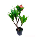 2.25 Ft Fuchsia Artificial Plumeria Flower Tree Tropical Plant in Black Pot