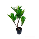 2.25Ft Cream Fuchsia Artificial Plumeria Flower Tree Tropical Plant in Black Pot