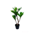 2.25Ft Cream Fuchsia Artificial Plumeria Flower Tree Tropical Plant in Black Pot