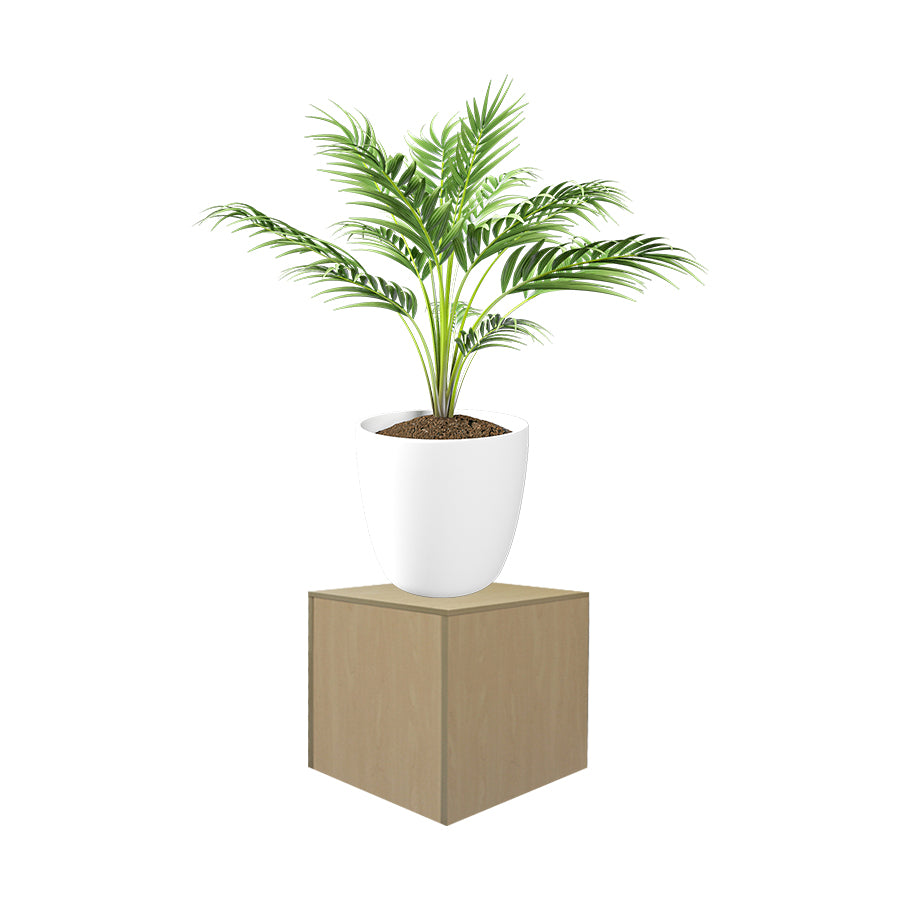 Maple 18'' x 18'' Knockdown Bases Pedestal Base Box Cube Display Fixture Retail Warehouse