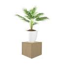 Maple 18'' x 18'' Knockdown Bases Pedestal Base Box Cube Display Fixture Retail Warehouse