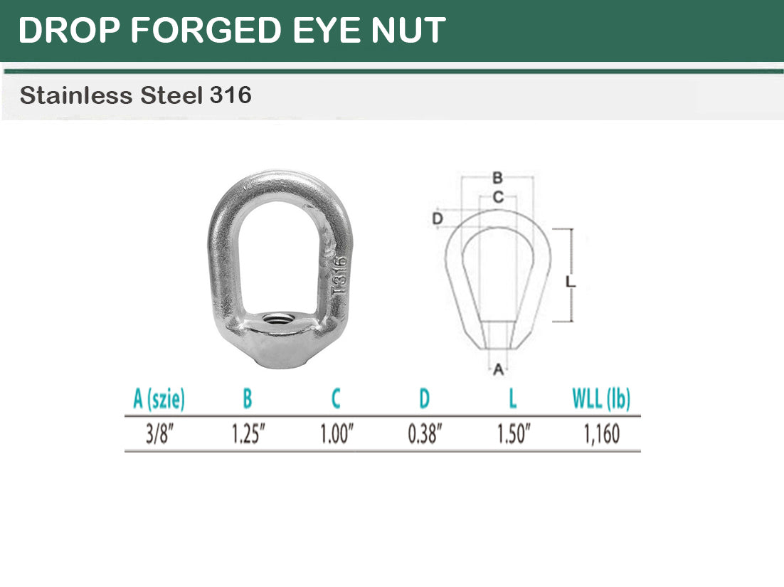 10 PC Stainless Steel T316 Forged Style 3/8" Eye Nut WLL 1,160 Lbs Lifting Marine Thread Ring Oval