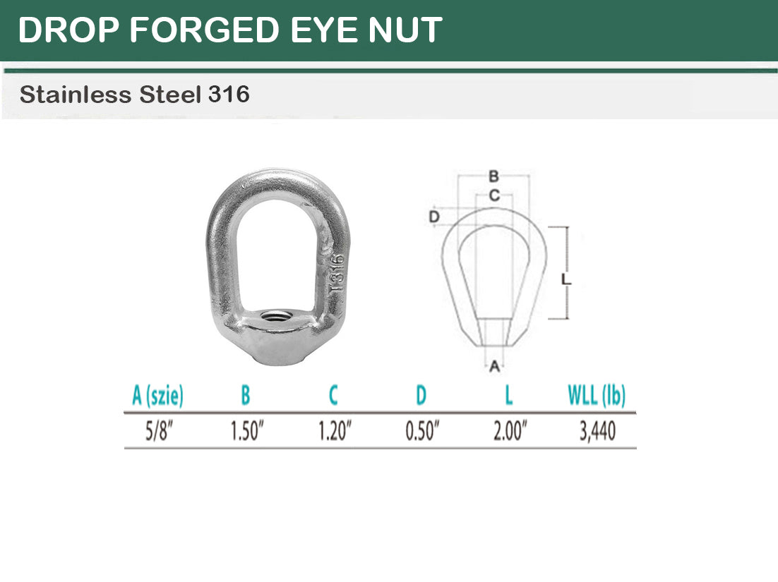 Stainless Steel T316 Forged Style 5/8" Eye Nut WLL 3,440 Lbs Lifting Marine Thread Ring Oval