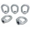 Hot Dipped Galvanized 1/2" Eye Nut