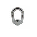 Marine T316 Stainless Steel 3/4" Eye Nut Lifting Ring Oval 4,700 Lbs WLL
