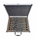 17 Pc HSS Cobalt Silver & Deming Drill Bit Set 1-2'' Reduced Shank