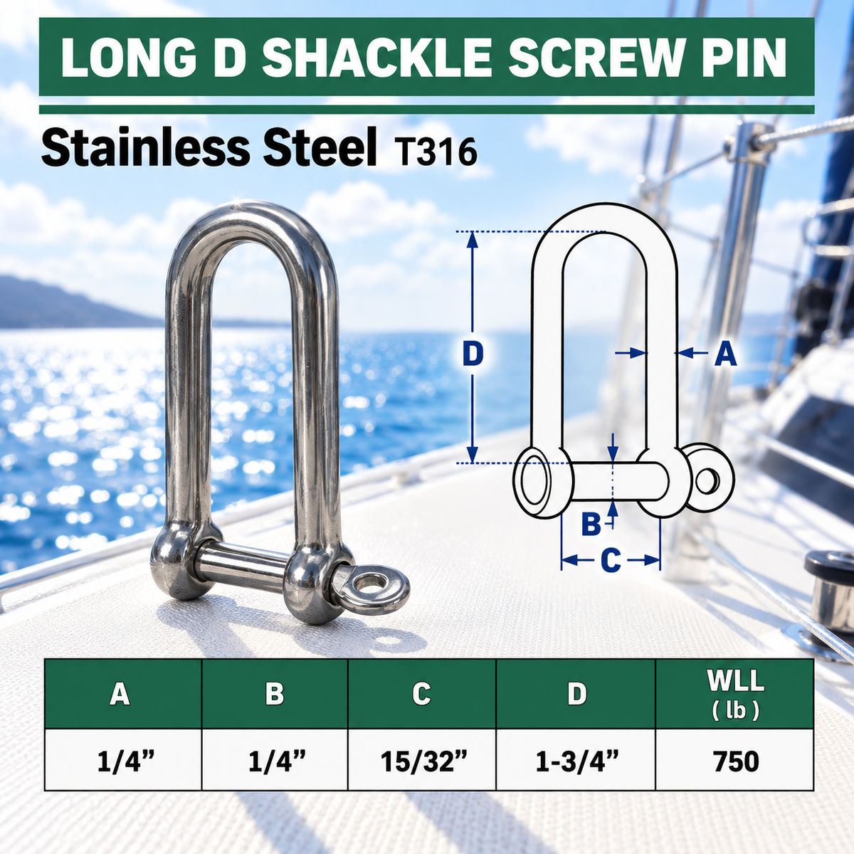 5 Pc Set Marine Stainless Steel Eye Screw Pin Chain Long D Shackle, Sailing Rigging Connector for Rope and Cable