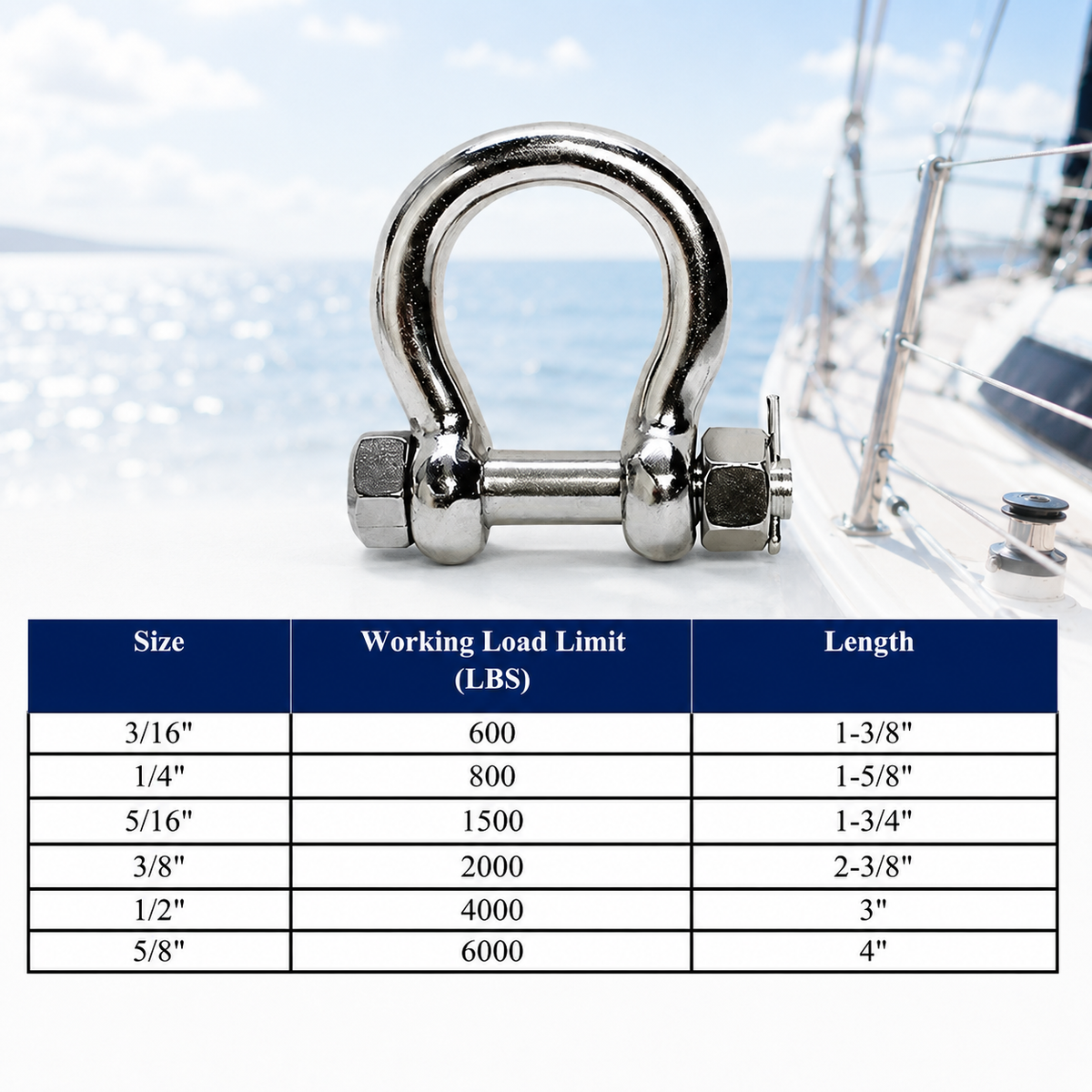 5 Pc Set Stainless Steel 316 Bolt Pin Anchor Shackle with Oversized Pin, Marine Boat Rigging Connector for Chain, Rope, and Cable