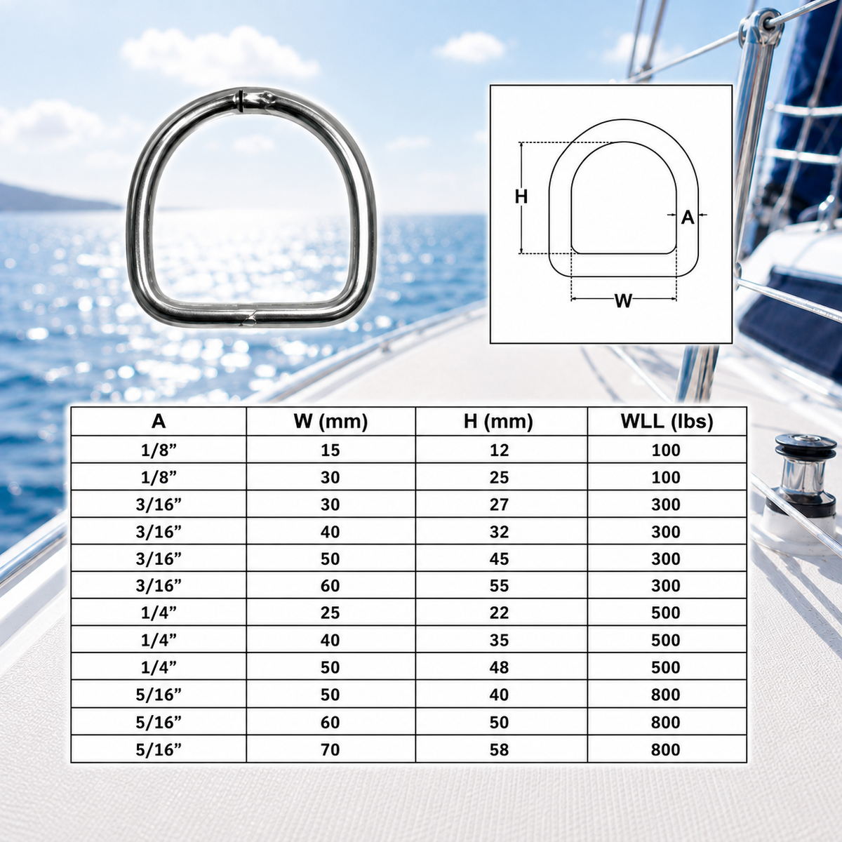 4 Pc Set Marine Boat Stainless Steel D-Ring, Yacht Sailing Hardware for Deck, Dock, Rope, Line, Strap, Tie Down Use