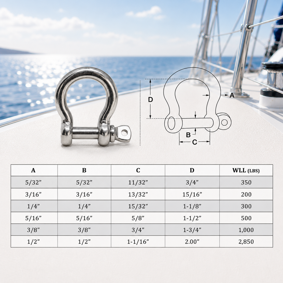 5 Pc Set Stainless Steel Bow Shackle Anchor, Chain Rigging Shackle for Boat, Paracord, Rope, Cable, and Outdoor Hardware