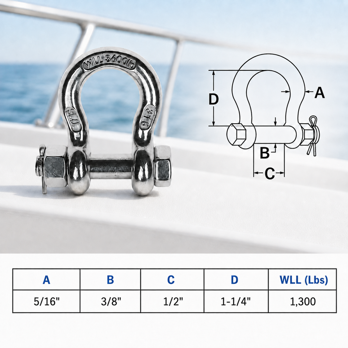 Mil Spec T316 Stainless Steel Forged Screw Pin Anchor Shackle, Marine Grade Load Rated Shackle for Boat, Chain, and Rigging