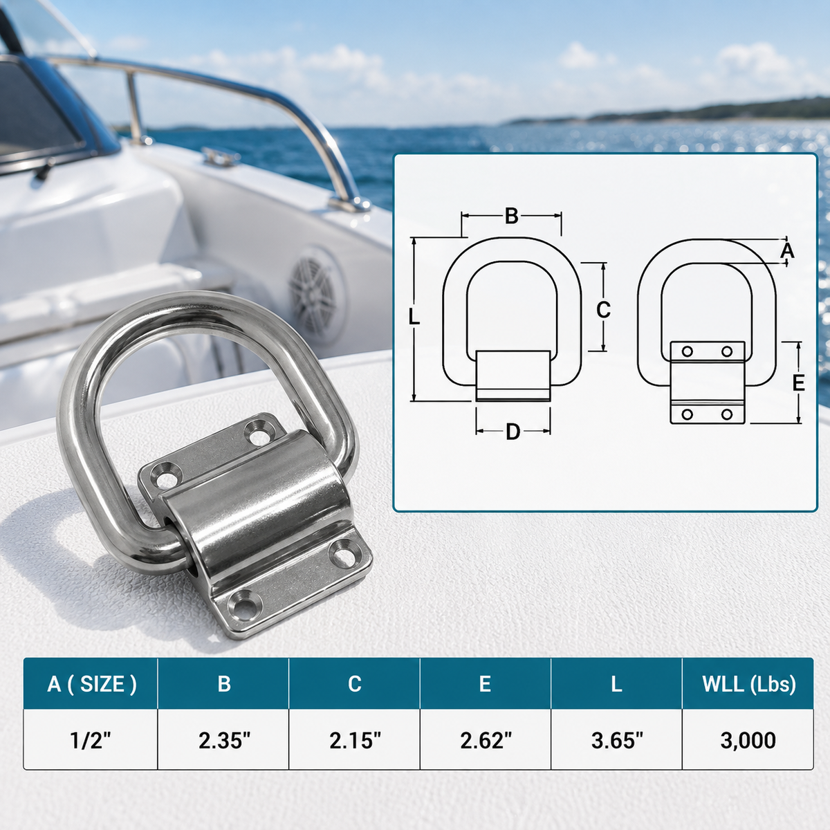 4 Pc Set T316 Stainless Steel Bolt-On D-Ring Lashing Ring Anchor Tie Down, Marine Boat Deck Hardware for Cargo, Dock, Trailer, and Rigging Use