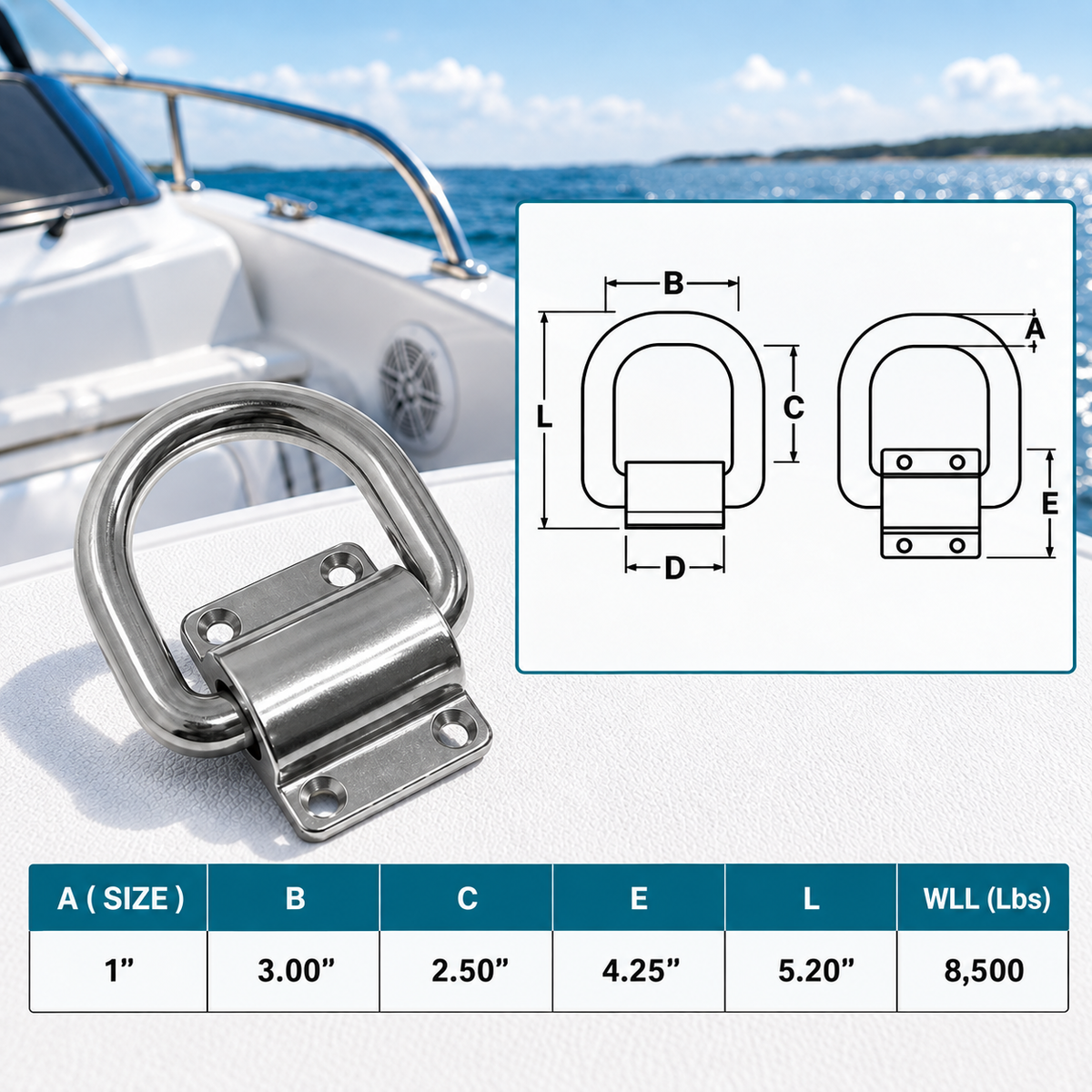 4 Pc Set T316 Stainless Steel Bolt-On D-Ring Lashing Ring Anchor Tie Down, Marine Boat Deck Hardware for Cargo, Dock, Trailer, and Rigging Use