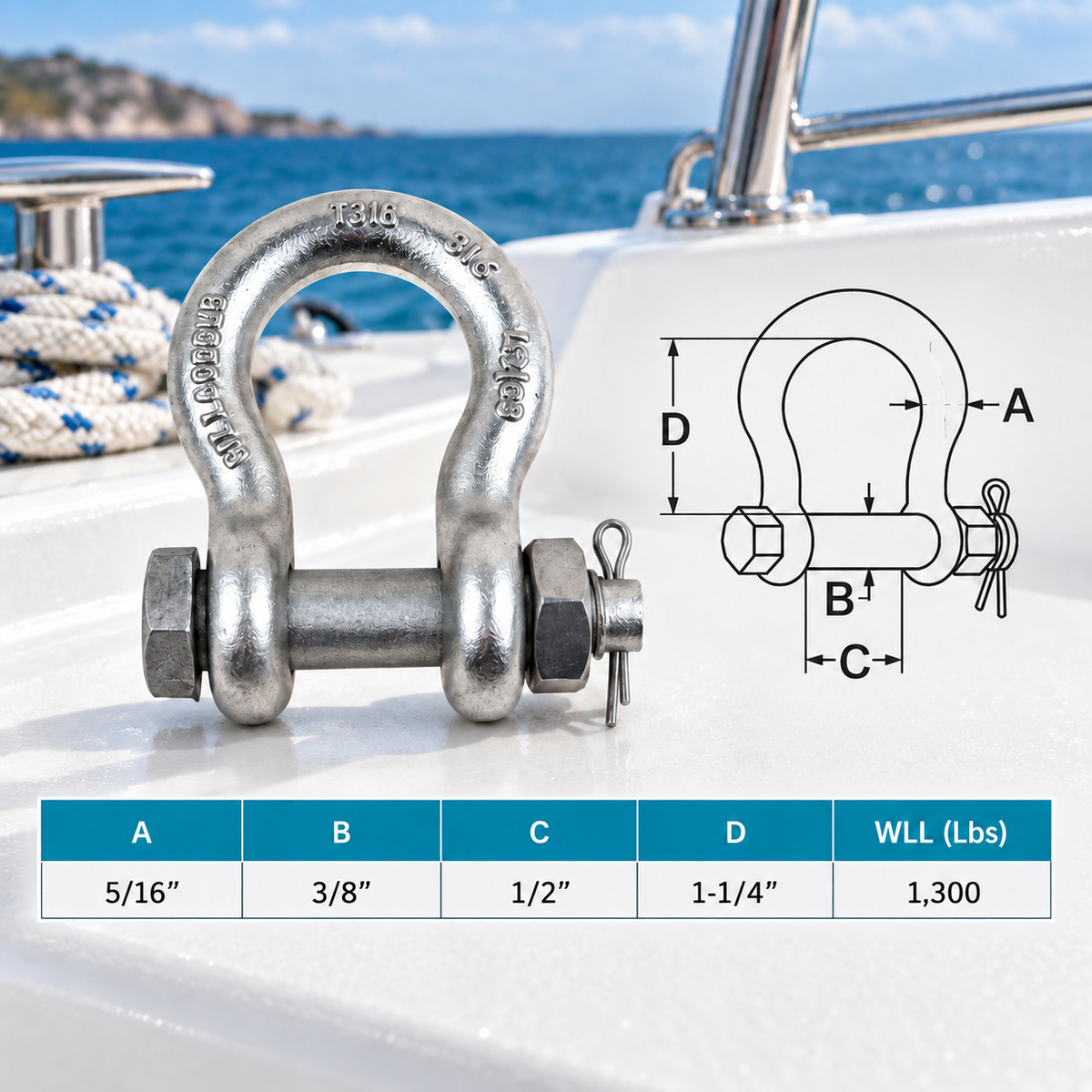 Mil Spec Non-Magnetic T316 Stainless Steel Bolt Pin Anchor Shackle, Drop Forged Marine Grade Shackle for Chain and Rigging