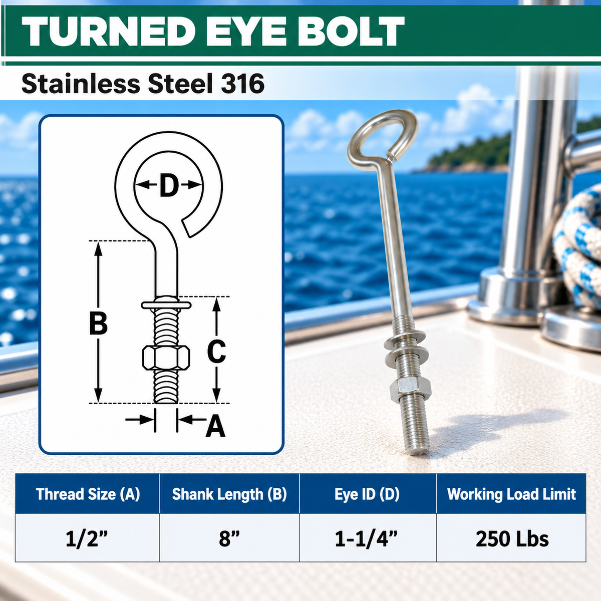Marine Boat T316 Stainless Steel Turned Eye Bolt with Nut and Washer, Eye Bolt Hardware for Deck, Dock, and Rigging