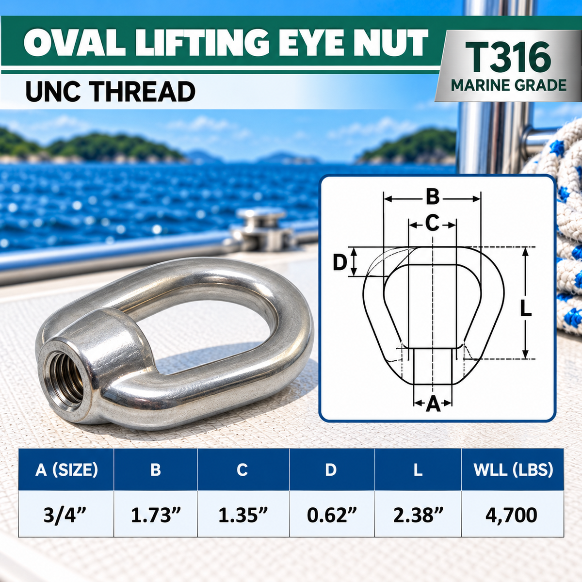 2 Pc Set Marine Stainless Steel 316 Eye Nut, UNC Tap Thread Lifting and Rigging Hardware for Boat, Dock, and Outdoor Use