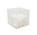 12'' x 12'' x 12'' 5 Sided Lucite Clear Acrylic Cube Bin Retail Display