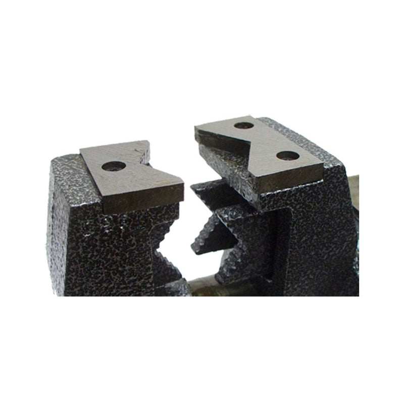 5" MULTI PURPOSE VISE ANVIL PIPE 360 degree Scale Ruler Swivel Base & Jaw