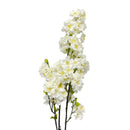 12 Pcs 42'' Botanical Artificial White Cherry Blossom Spray Natural Silk Floral