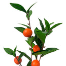 12 Pcs 35" Spring Botanical Artificial Orange Fruit Spray Faux Flower Home Decor