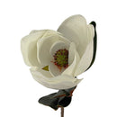 6 Pcs 32" Real Touch Magnolia Stem Artificial Magnolia Flower Silk Floral
