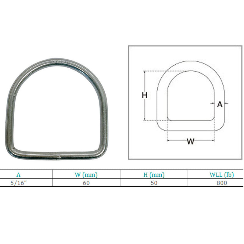 50mm Height Marine Boat Stainless Steel T316 5/16" D-Ring 800 WLL D Ring Yacht