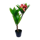 2.25 Ft Fuchsia Artificial Plumeria Flower Tree Tropical Plant in Black Pot